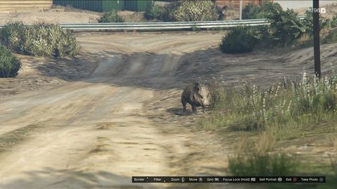 gta 5 wildlife photography challenge pc