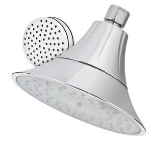 chrome filtered showerhead