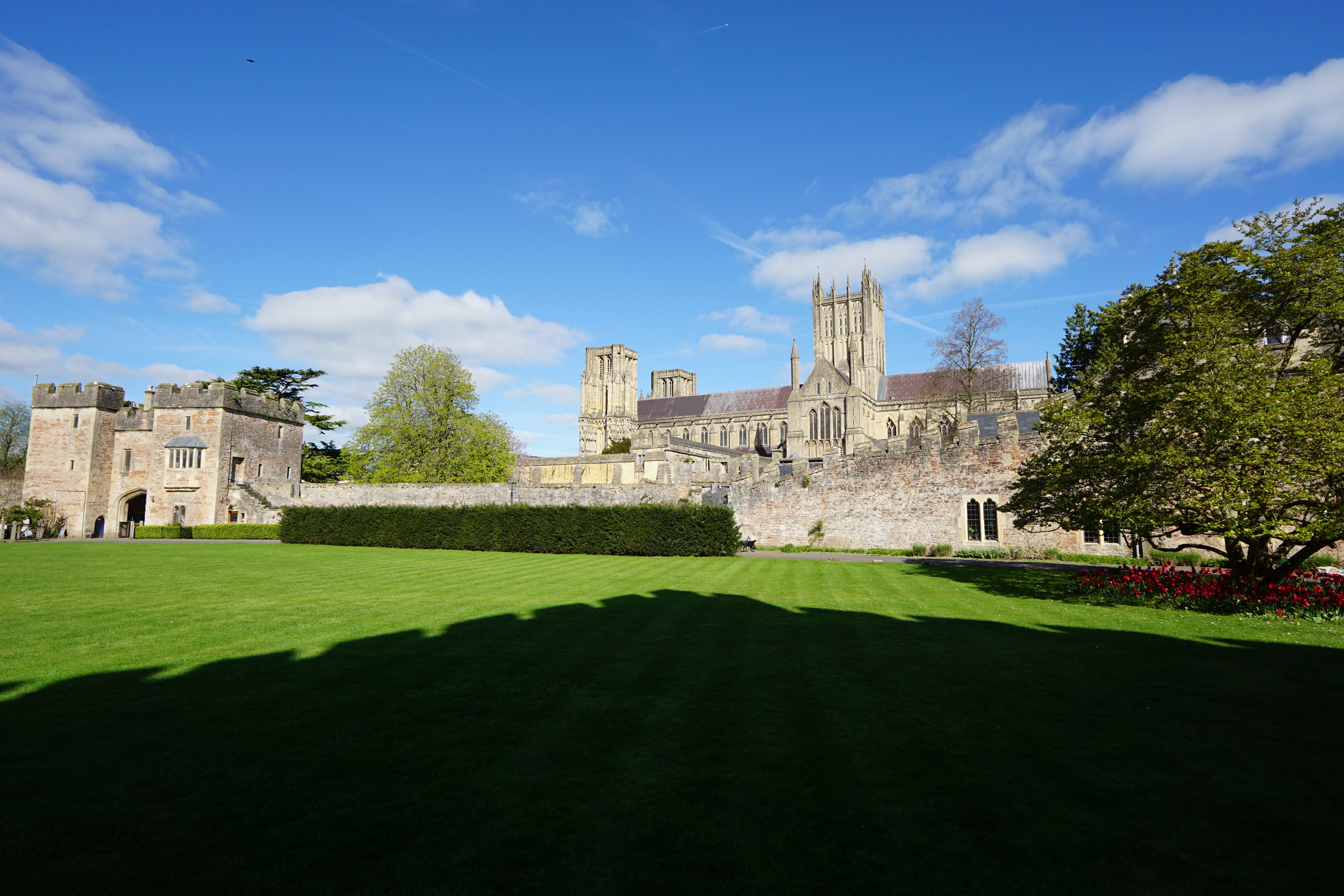 Sigma 12mm f/1.4 DC | C example shot