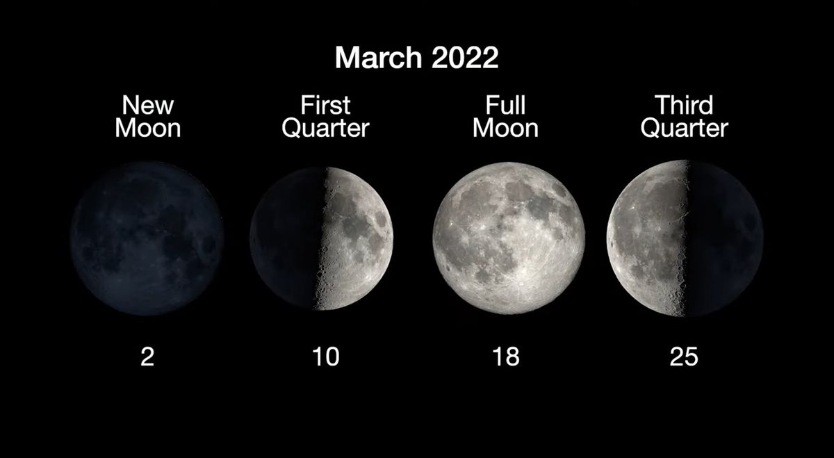 Moon Phase Calendar March 2022 Moon Phases 2022: This Year's Moon Cycles | Space