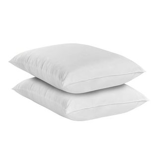 Allerease Reserve Cotton Fresh Pillow, Standard/queen