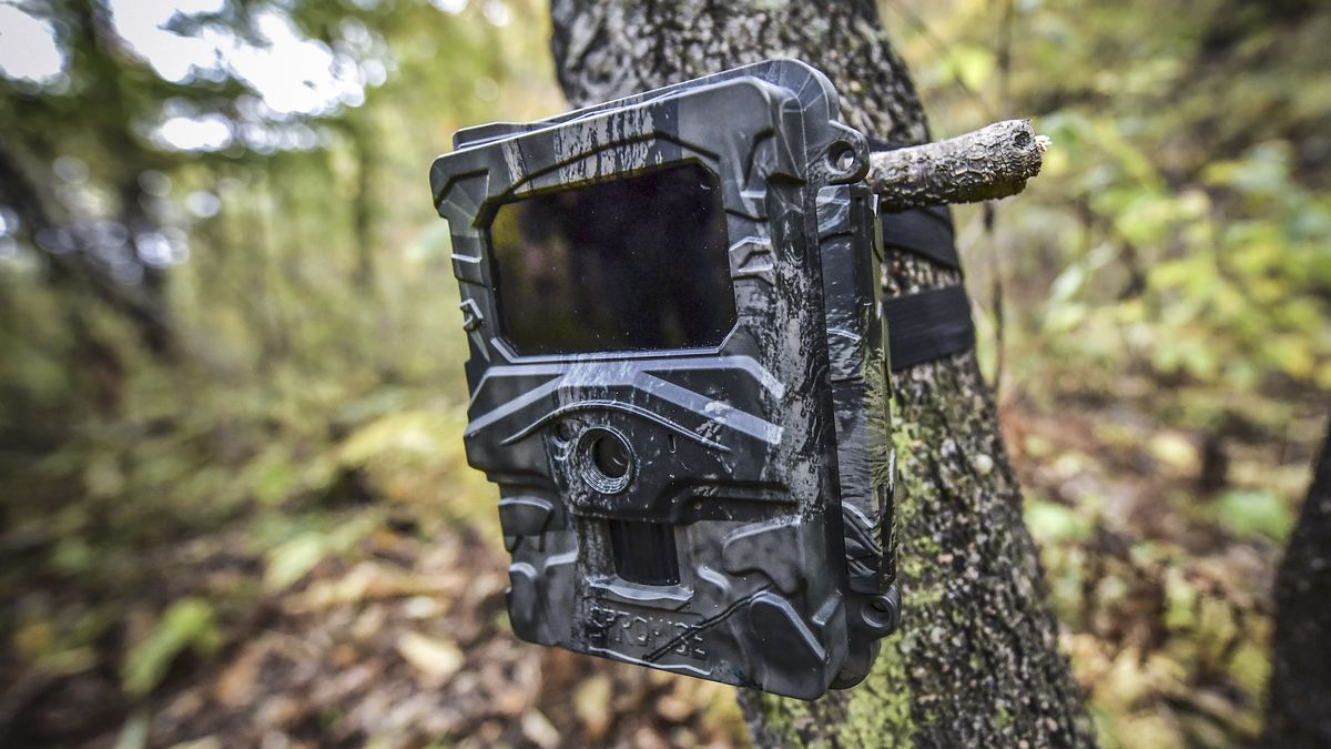 best camera traps for research