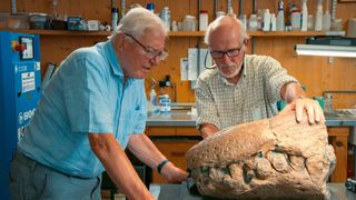 Sir David Attenborough, alongside a paleontologist, considers a skull fossil in Attenborough and the Giant Sea Monster
