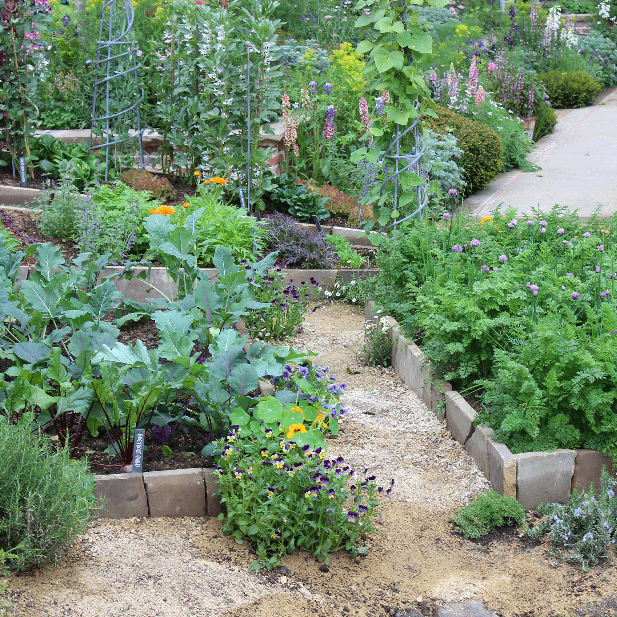 flower beds filled with vegetables