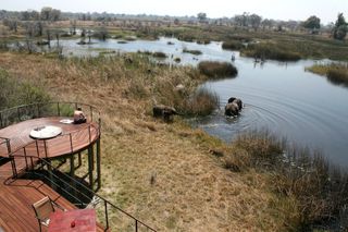 An elephant wades in a river by a lodge.