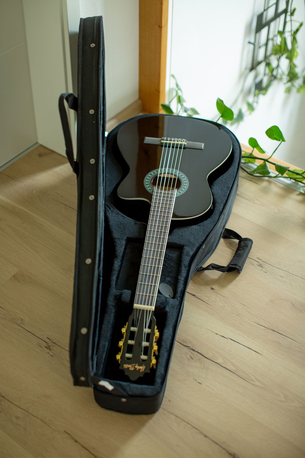 Harley Benton Lightcase