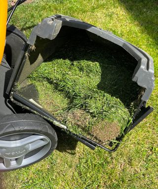 full grass box on a petrol mower