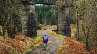 A gravel rider follows a track winding under a viaduct