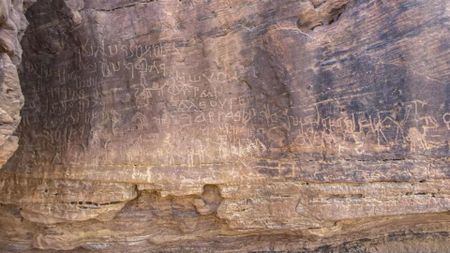 A sheer rock face of dark and light brown rock is covered with drawings and inscriptions