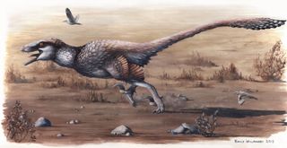 Dakotaraptor illustration