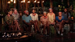 survivor 41