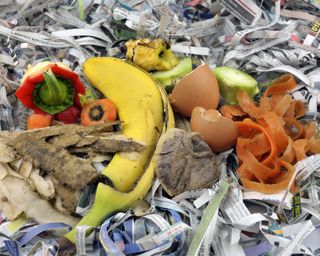 Composting shredded paper with kitchen scraps