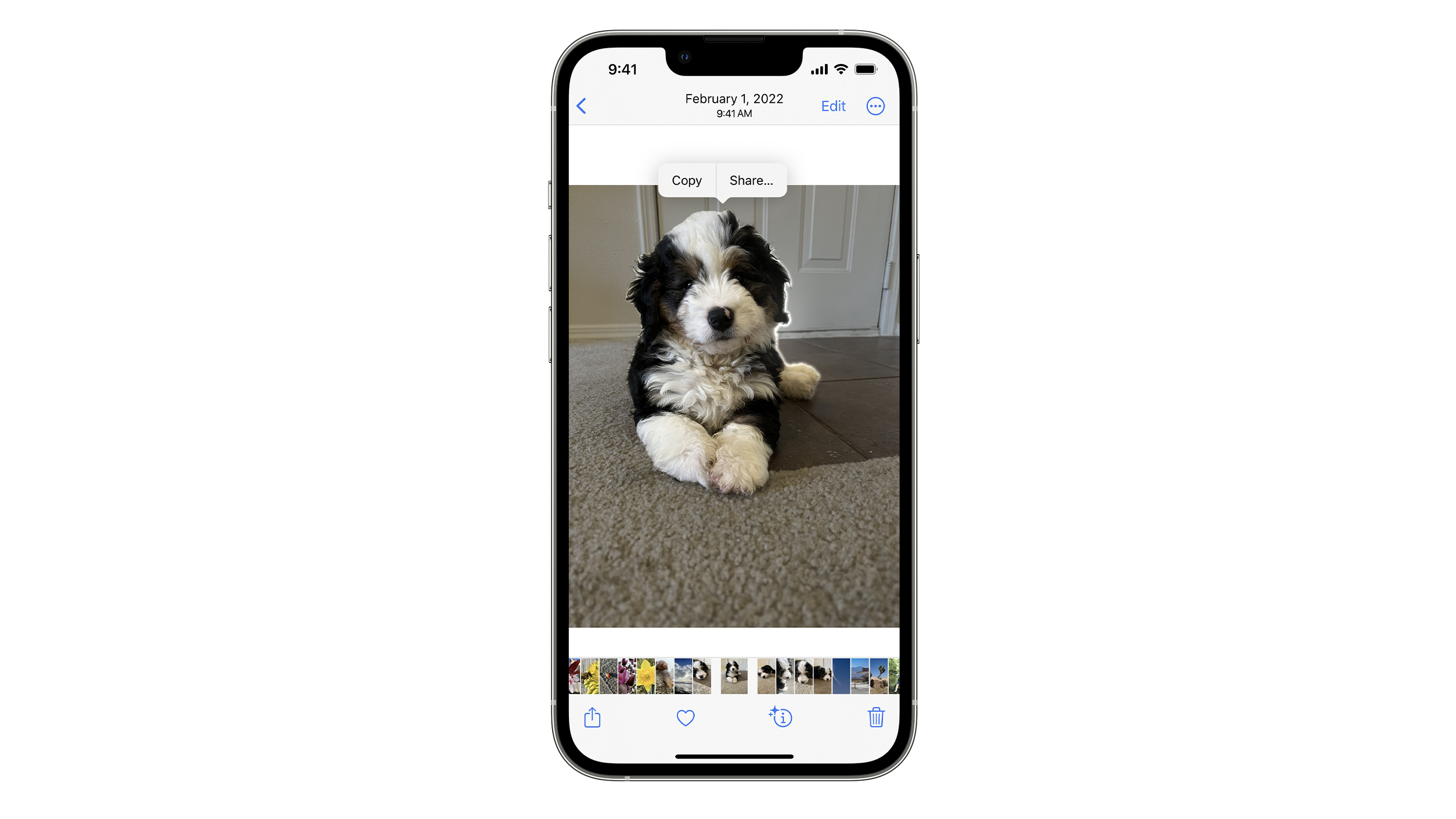 A screenshot of how the photo cutouts feature works on iphone