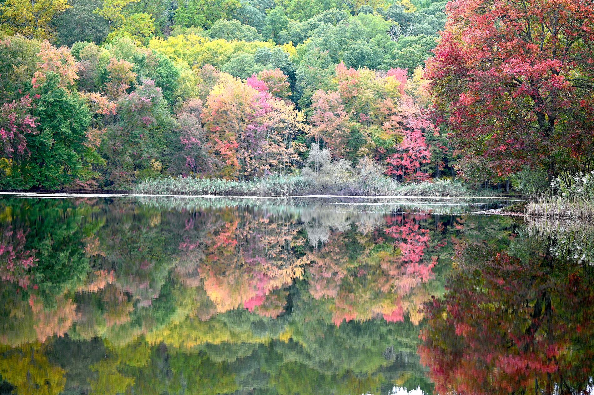 GuruShots - Vivid Landscapes March 2026