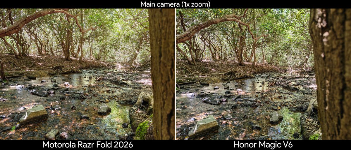 Comparing main and ultrawide camera quality between the Motorola Razr Fold 2026 and Honor Magic V6