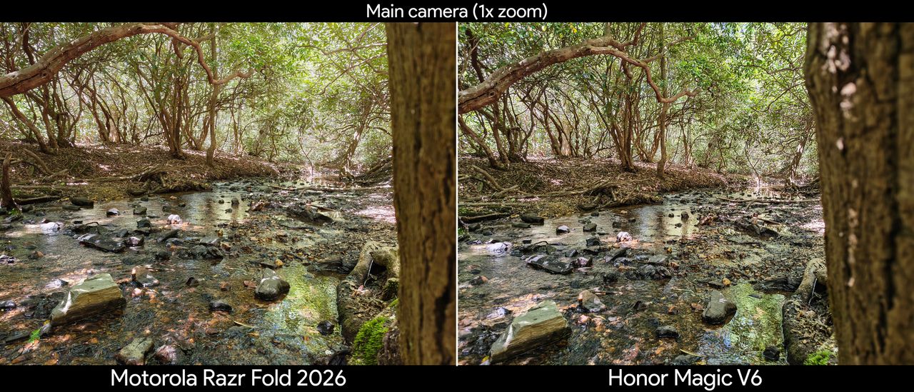 Comparing main and ultrawide camera quality between the Motorola Razr Fold 2026 and Honor Magic V6