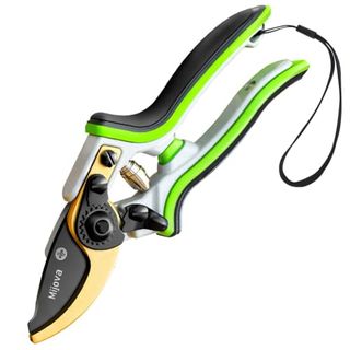 Secateurs & Pruning Scissors, Pruning Shears Heavy Duty With Sk5 High Carbon Steel, Gardening Hand Pruner With Ergonomic Handle, Professional Garden Scissors for Plants, Hedges and Flowers