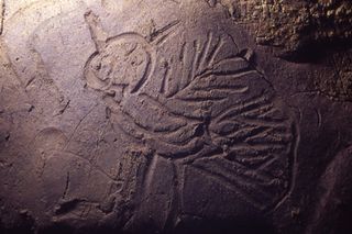 The bird seen here was carved in mud by the native ancient peoples of Tennessee