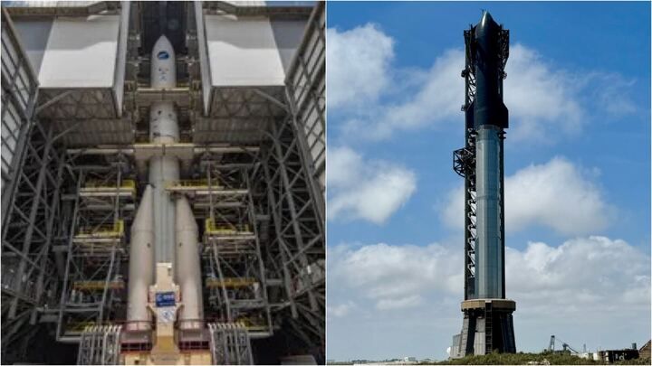 Live Oak, Texas visual data 2