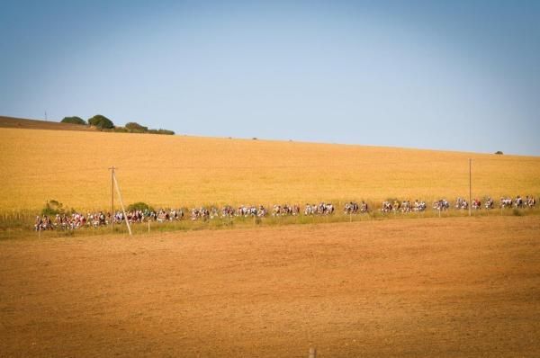 The lead group in the farmlands surrounding Albertinia