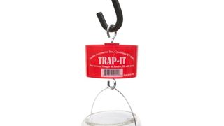 ant trap