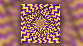 The spinning optical illusion