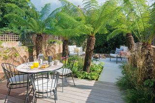 how much does decking cost: modern garden with palms