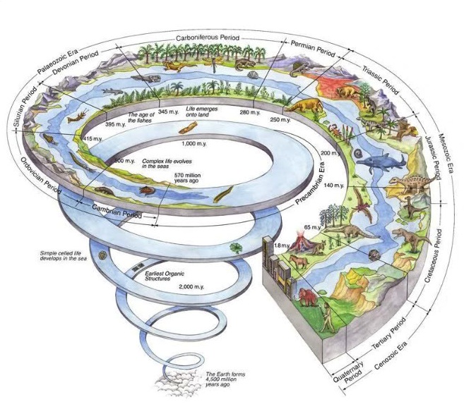 'Anthropocene' Period Would Recognize Humanity's Impact on Earth | Space