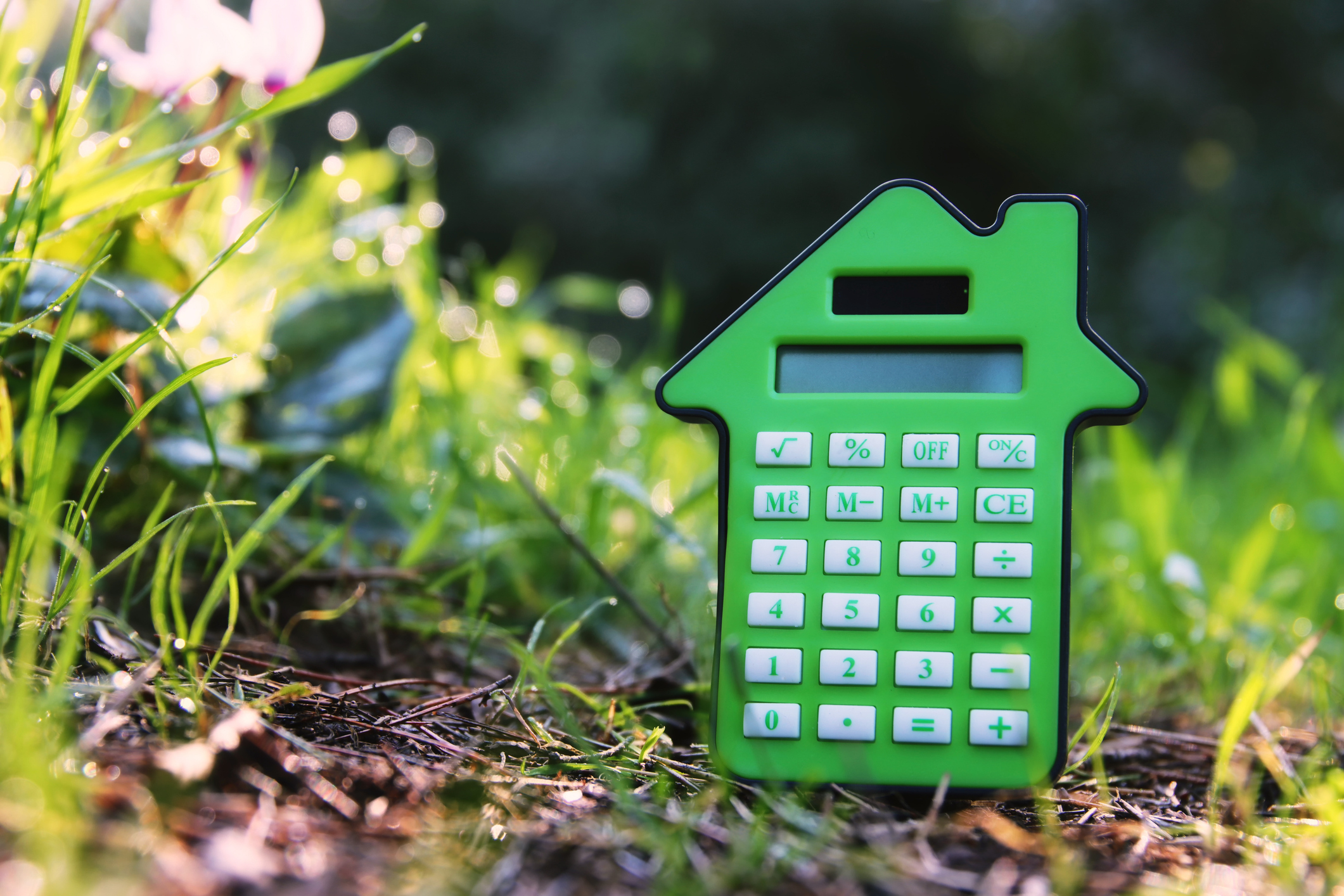 Calculator in the shape of a house, surrounded by grass