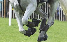 Ensure your horse is ready to compete with this eventing fitness plan