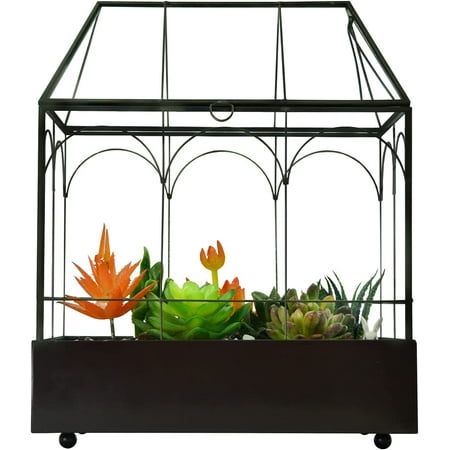 Large Tall Glass Plant Terrarium &amp;ndash; House Succulent Terrarium Kit With Lip and Tray Glass Greenhouse Terrarium for Plant 9.5&amp;rdquo;x5.7&amp;rdquo;x11.4&amp;rdquo;