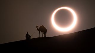 Annular solar eclipse in desert with a silhouette of a dromedary camel. Liwa desert, Abu Dhabi, United Arab Emirates.