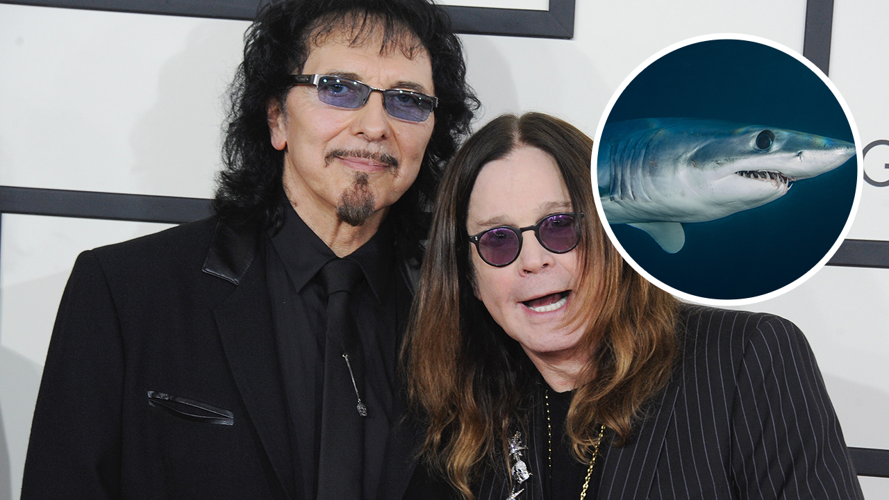 Ozzy Osbourne used 'dismembered shark's blood to paint hotel room