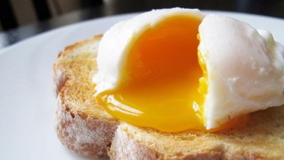 Poached egg on toast for breakfast