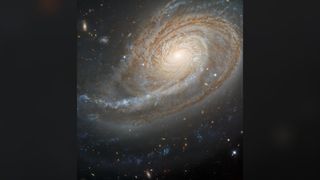 Spiral galaxy filled with stars and one large dominating arm sweeps out from the center.
