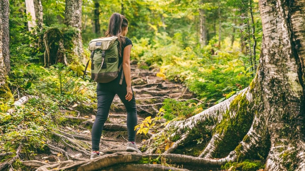 How to stay safe when hiking alone | Tom's Guide