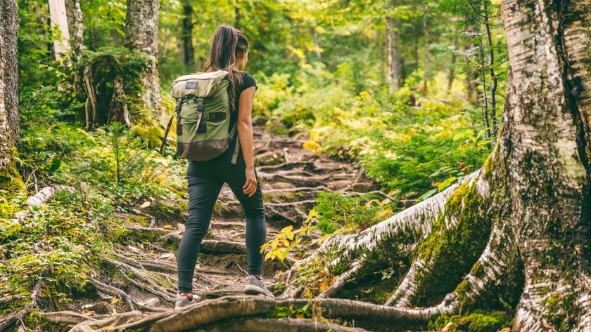 a photo of a woman hiking alone 