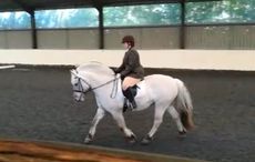 Rio-blind-dressage.jpeg