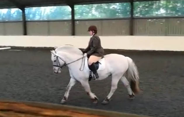 Rio-blind-dressage.jpeg