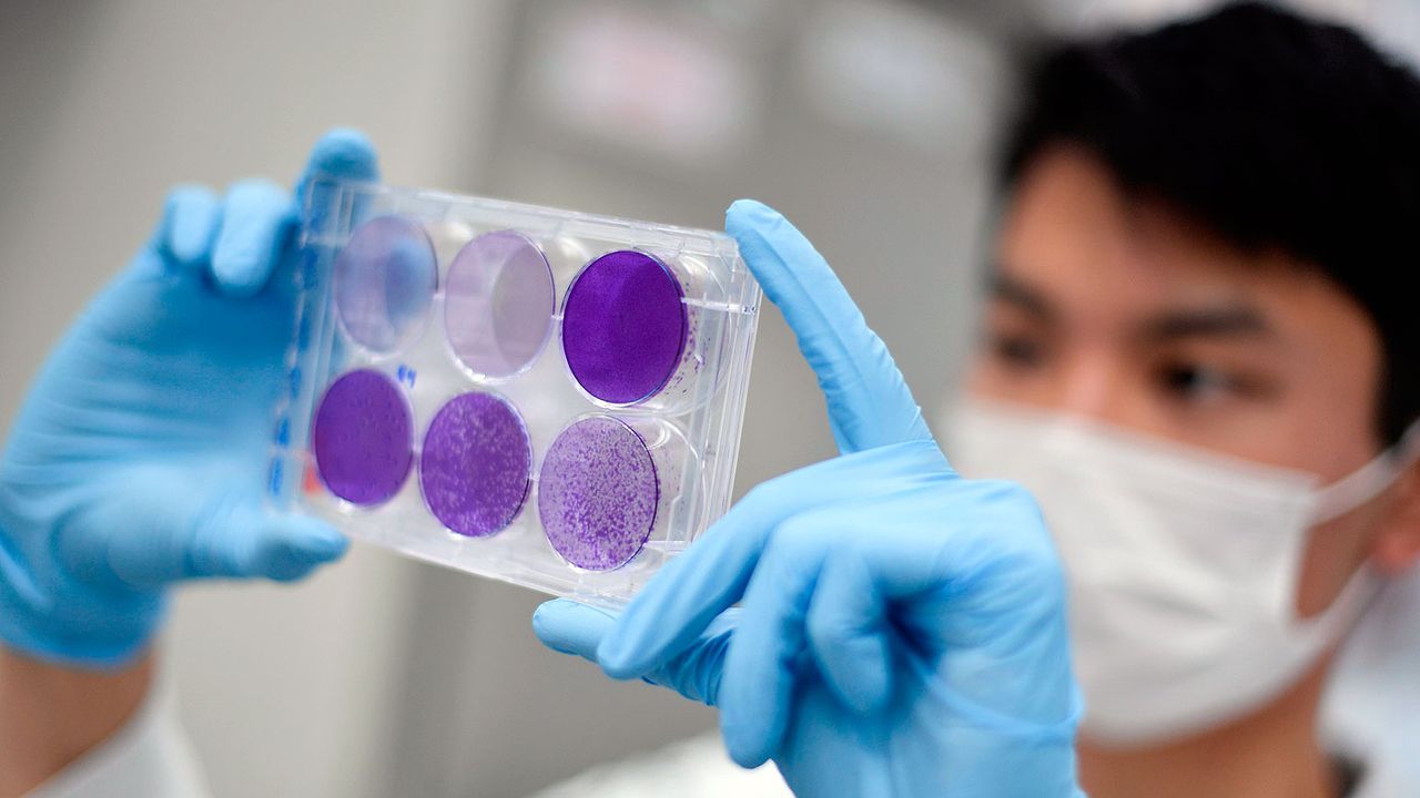 Researchers working on Covid-19 at a lab in Belo Horizonte, Brazil