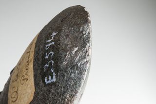 oldest ground-edge stone axe