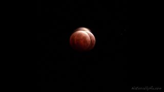 An artsy photo of the total lunar eclipse
