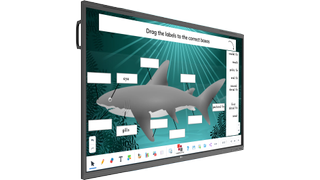 The LG CreateBoard providing an interactive experience teaching about sharks. 