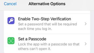 Telegram Alternative Options screen showing the options to enable two-step verification or set a passcode