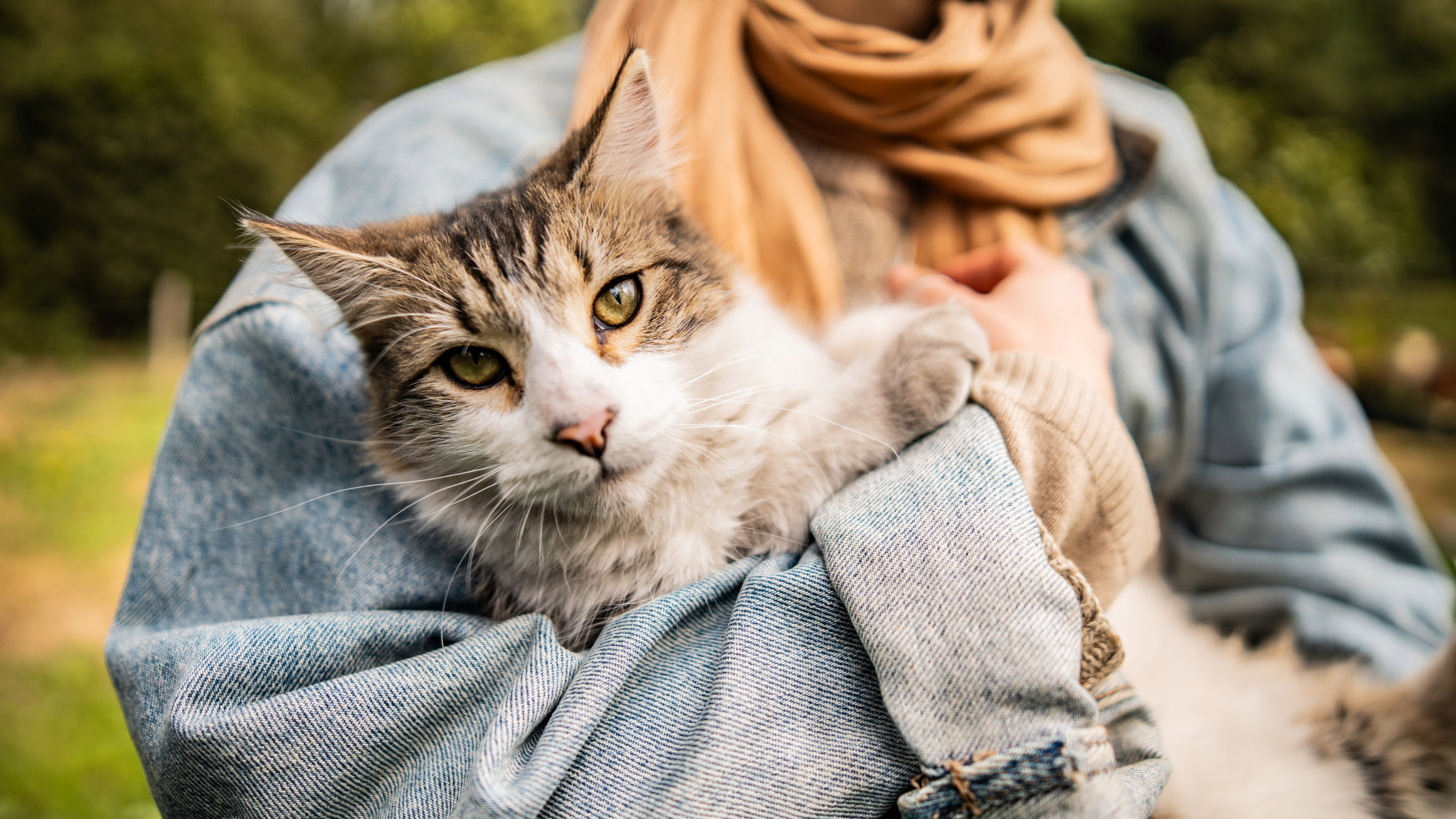 Person holding cat outside