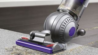 a Dyson Ball Animal 2 cleaning up hair and crumbs on a carpet and hard floor.