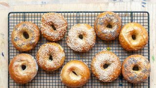 Freshly baked bagels cooling on a wire rack