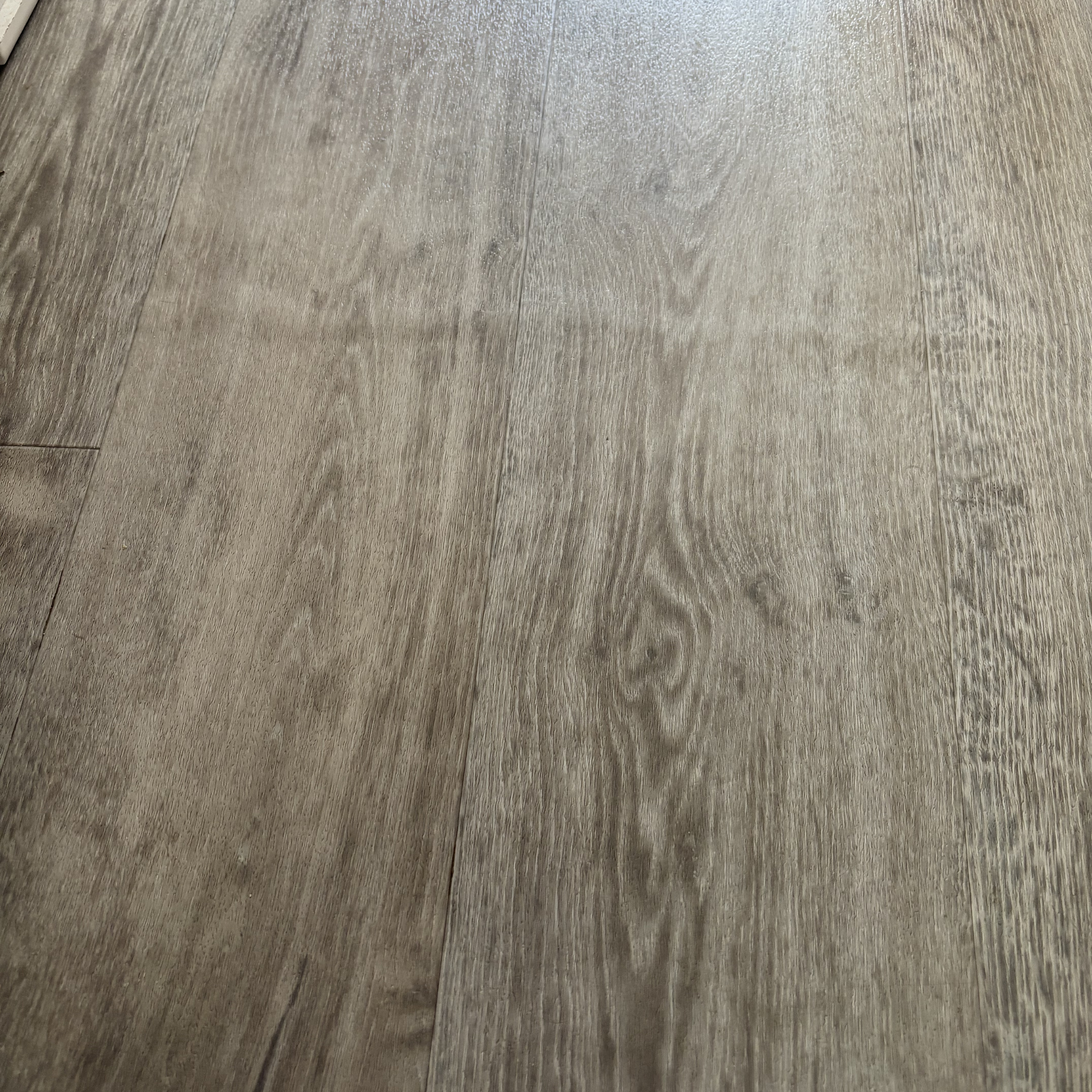 Eufy omni c28 robot vacuum cleaner review 