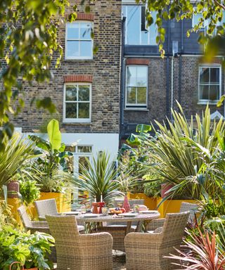 Abigail Ahern garden tips, urban garden in London