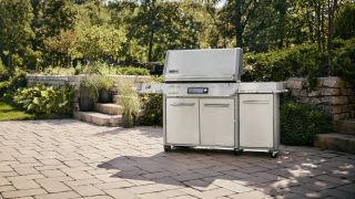 Weber Summit Smart Gas Barbecue